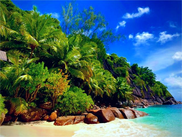 Secrets of Silhouette Island